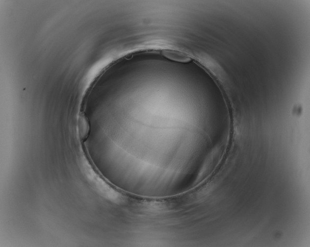 X0000111351334200907241149