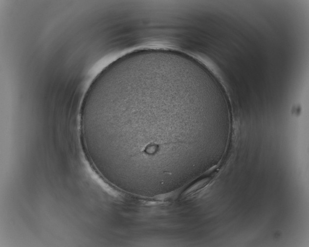 X0000111351335200907241149