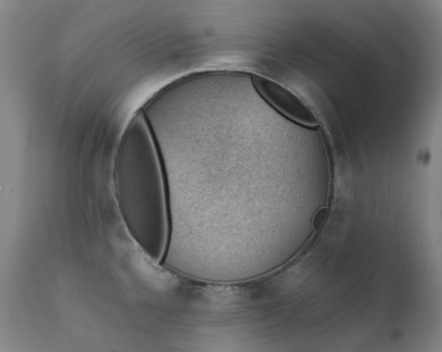 X0000111351336200907241149