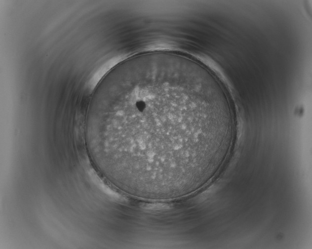 X0000111351337200907241149