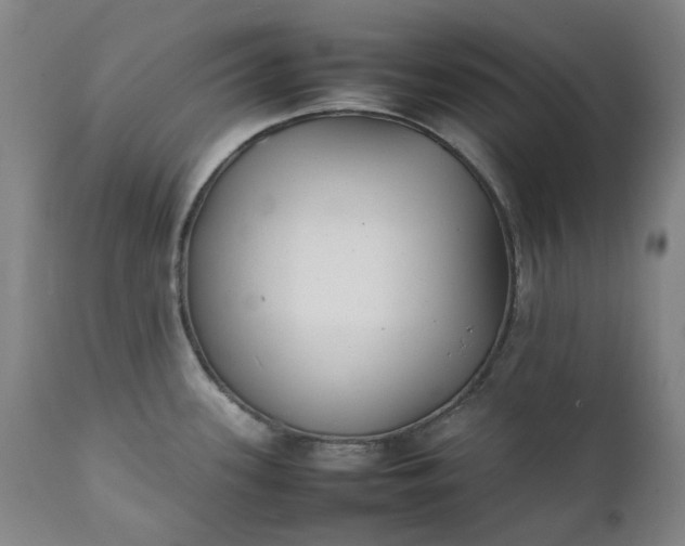 X0000111351339200907241149