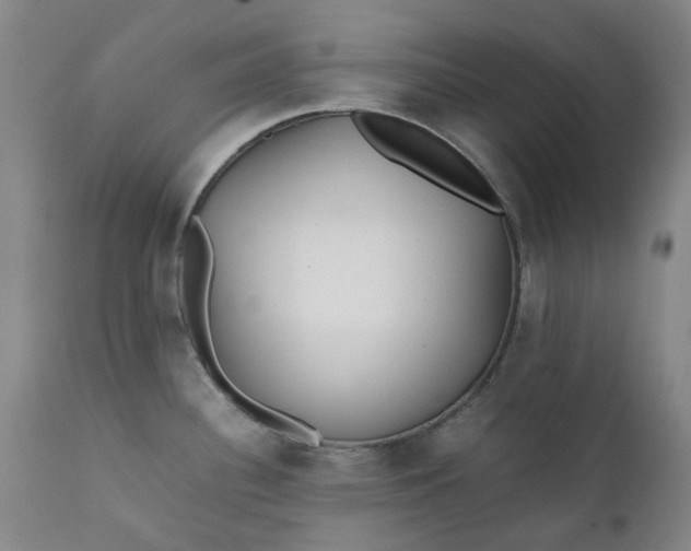 X0000111351340200907241149