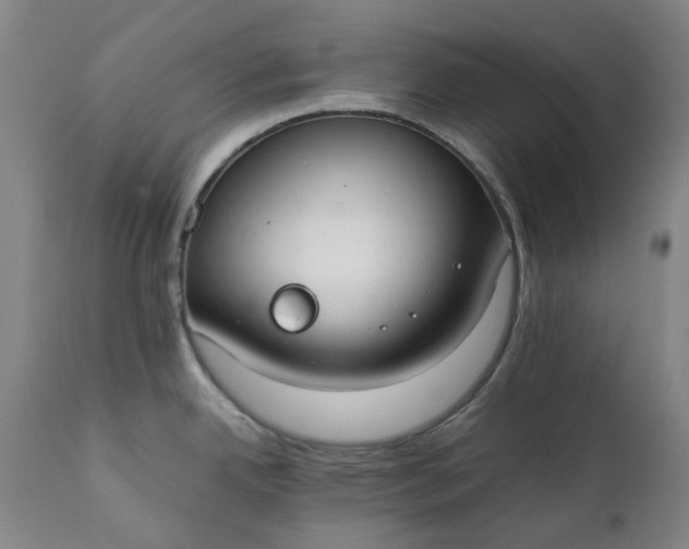 X0000111351342200907241149