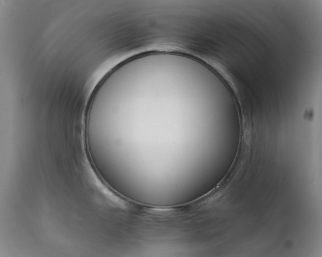 X0000111351343200907241149