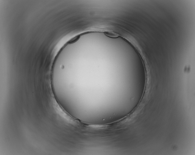 X0000111351344200907241149