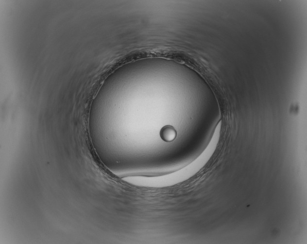 X0000111351345200907241149