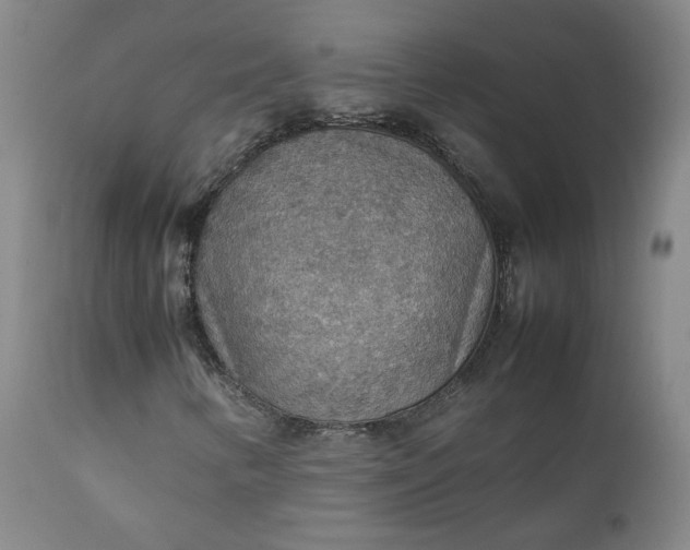 X0000111351346200907241149