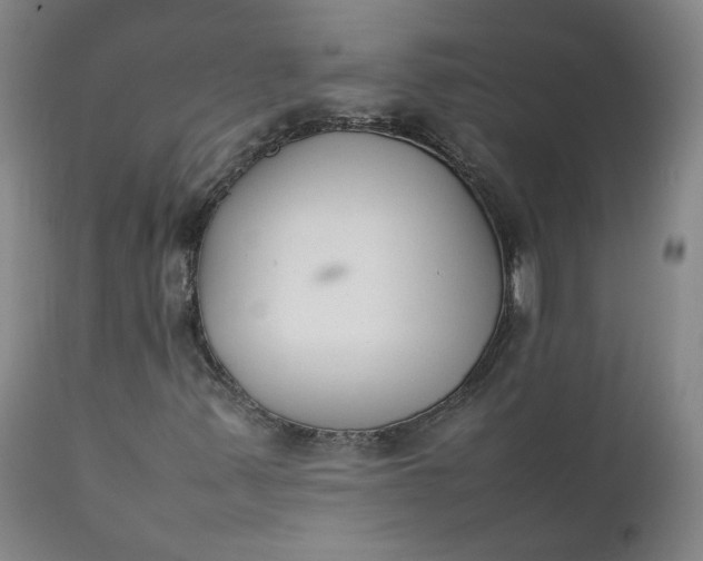 X0000111351347200907241149