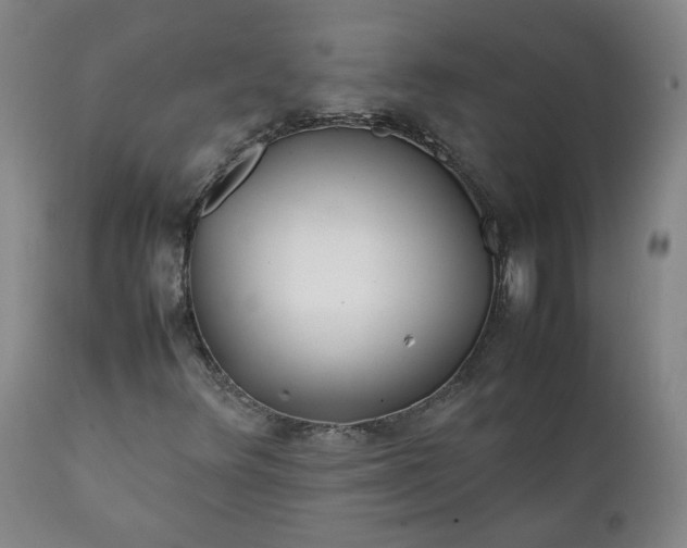 X0000111351348200907241149