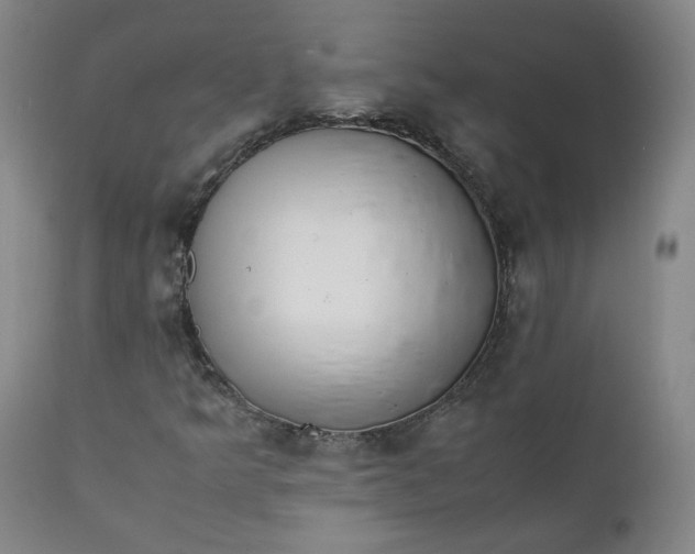 X0000111351349200907241149