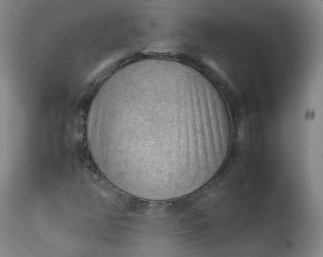 X0000111351350200907241149