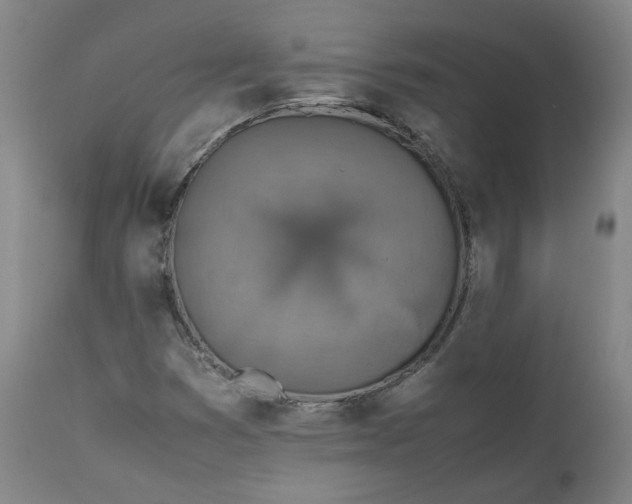 X0000111351353200907241148