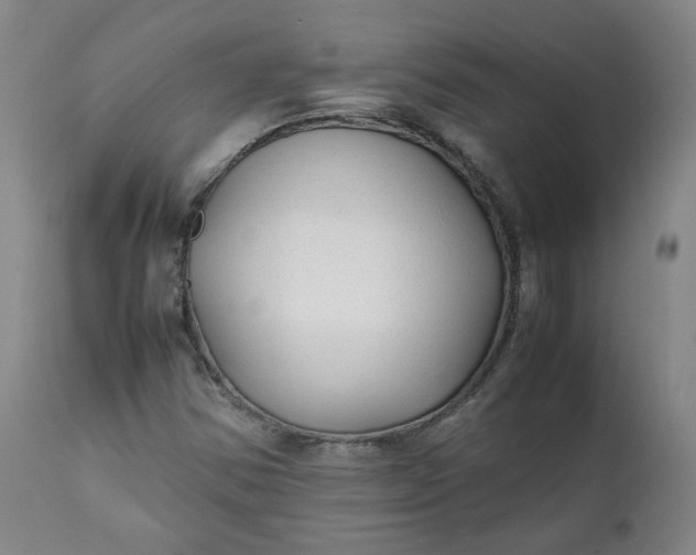 X0000111351354200907241148