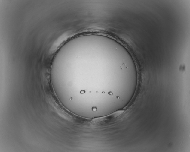 X0000111351355200907241148