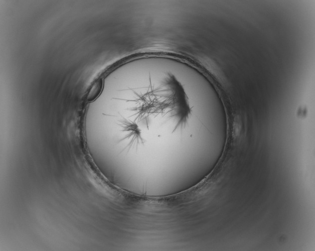 X0000111351356200907241148