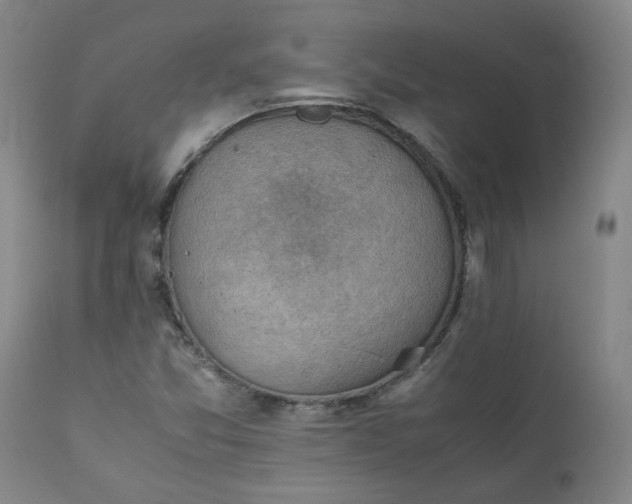 X0000111351357200907241148