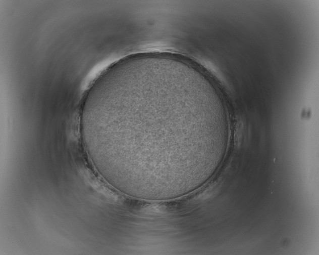 X0000111351358200907241148