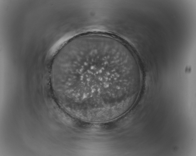 X0000111351359200907241148