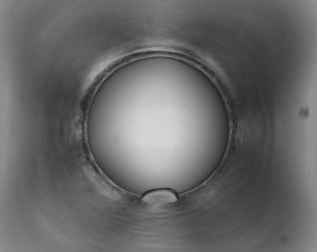 X0000111351360200907241148