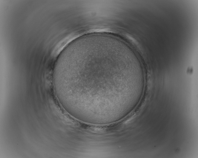 X0000111351361200907241148