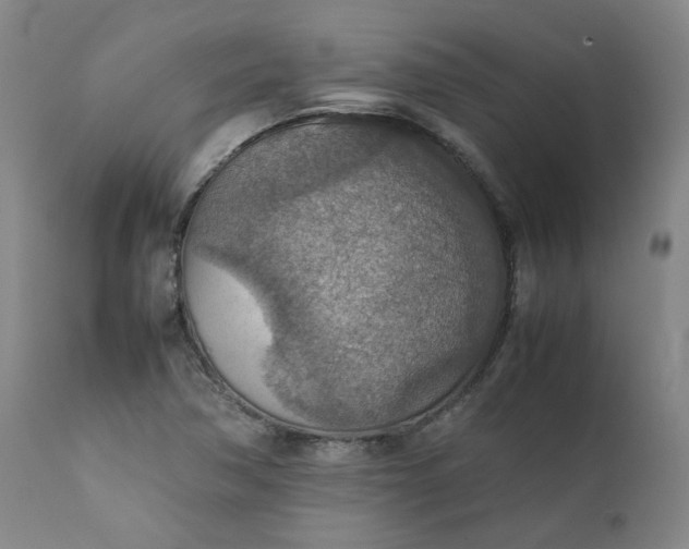 X0000111351362200907241148