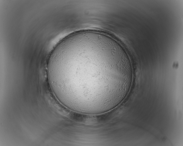 X0000111351363200907241148