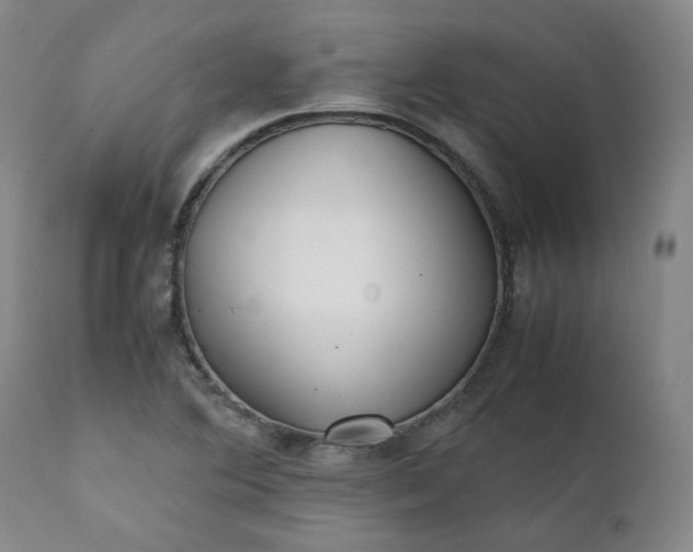 X0000111351364200907241148