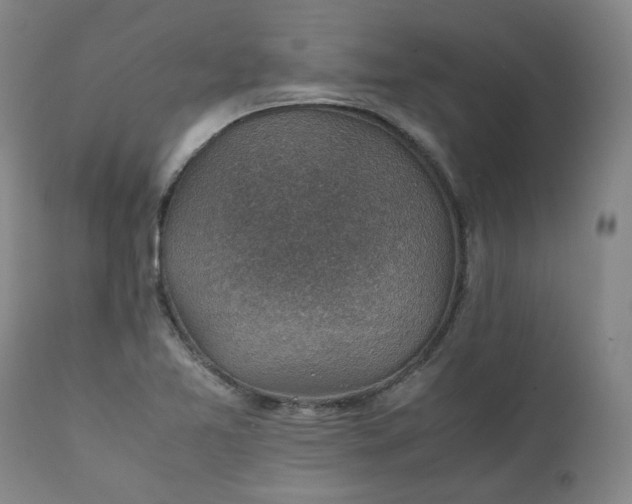 X0000111351365200907241148