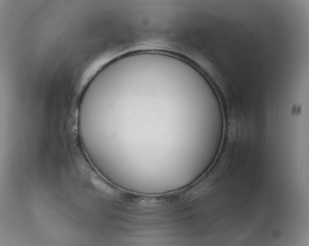 X0000111351366200907241148