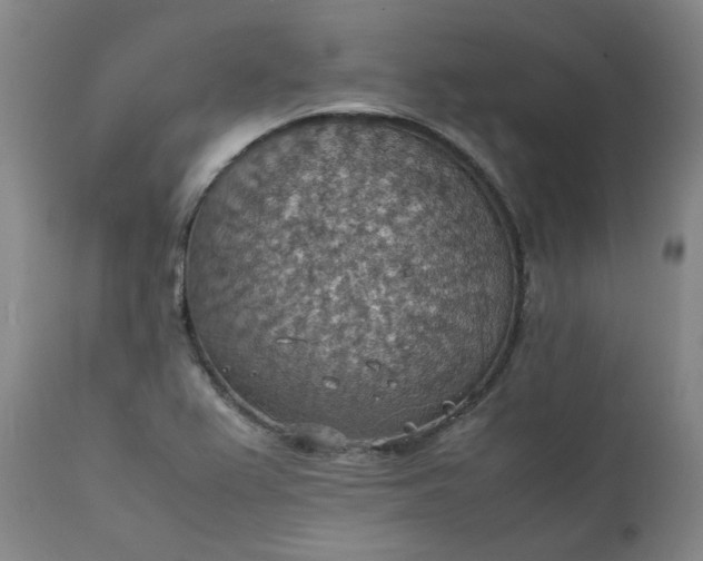 X0000111351367200907241148