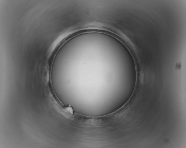 X0000111351368200907241148