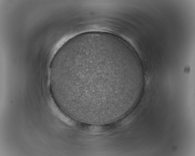 X0000111351371200907241148