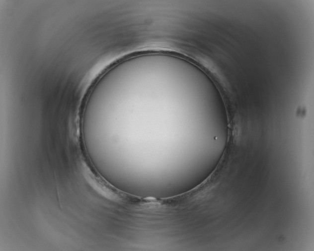 X0000111351372200907241148