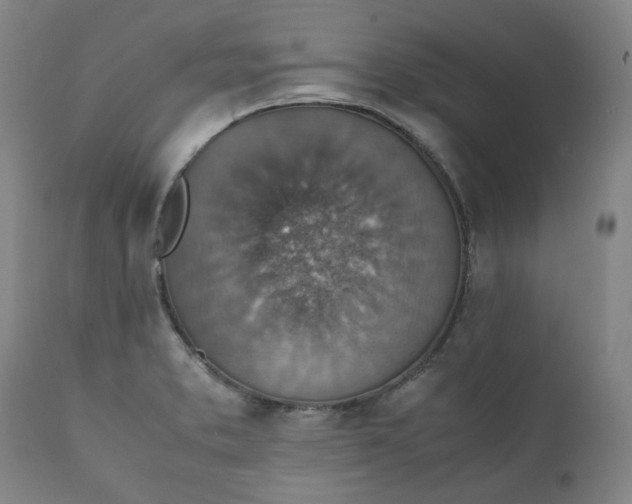 X0000111351373200907241148