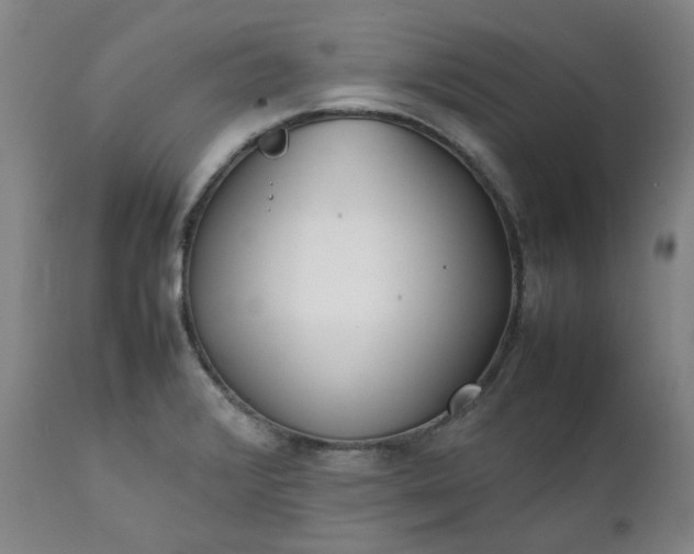 X0000111351376200907241148