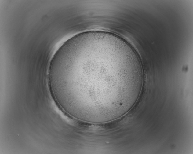 X0000111351379200907241148