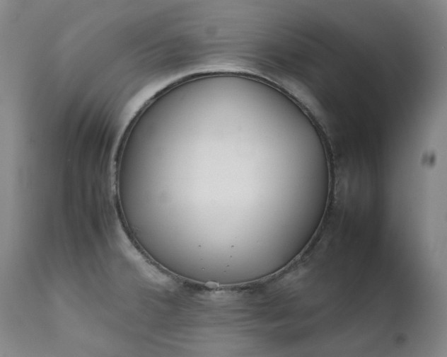 X0000111351380200907241148