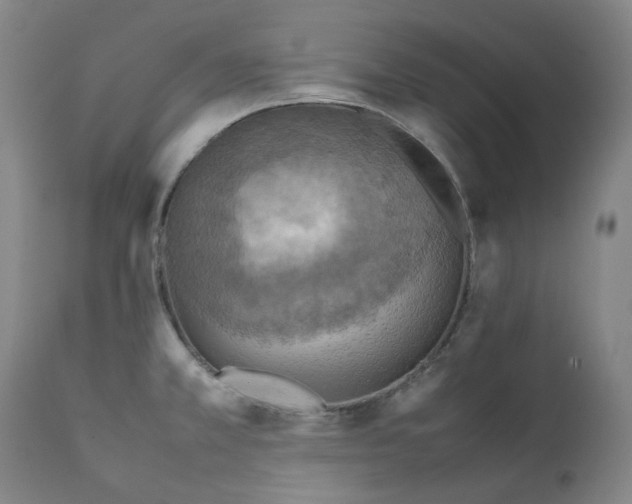 X0000111351381200907241148