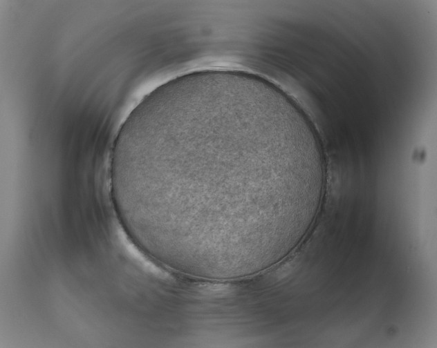 X0000111351382200907241148