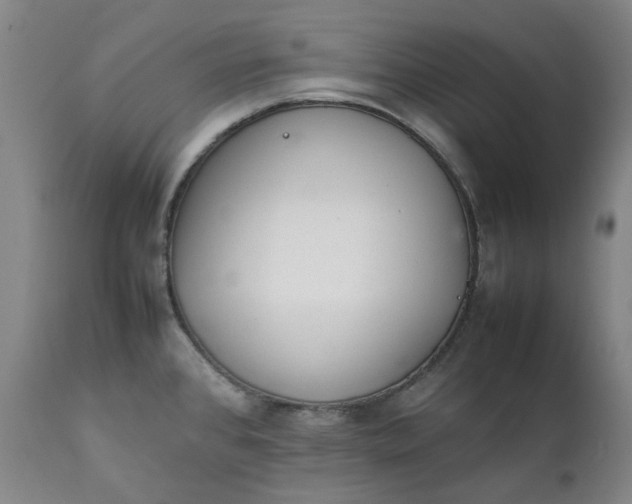 X0000111351384200907241148