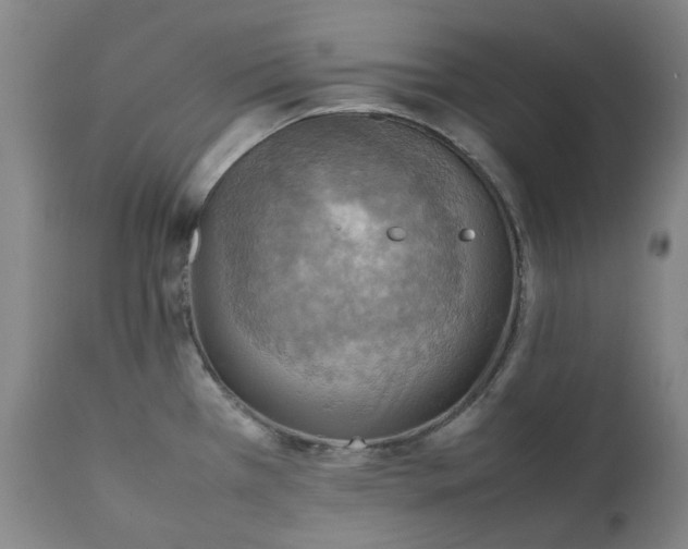 X0000111351385200907241148