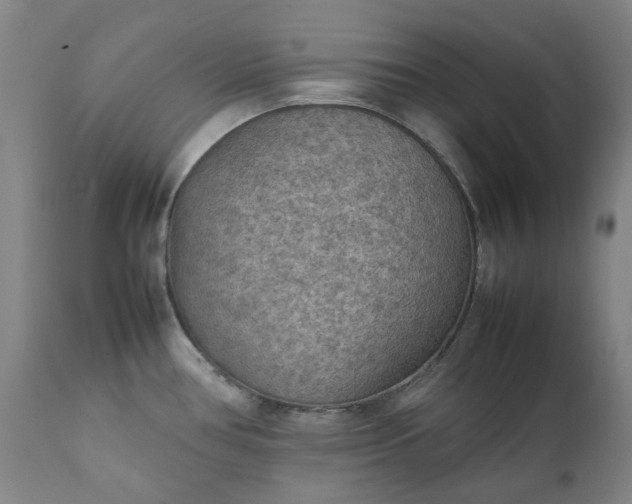 X0000111351386200907241148