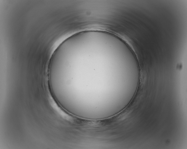 X0000111351387200907241148