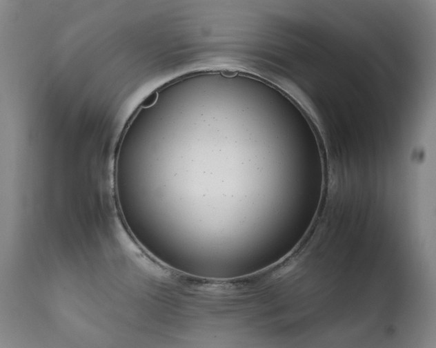 X0000111351388200907241148