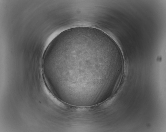 X0000111351389200907241148