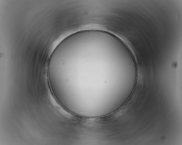 X0000111351390200907241148