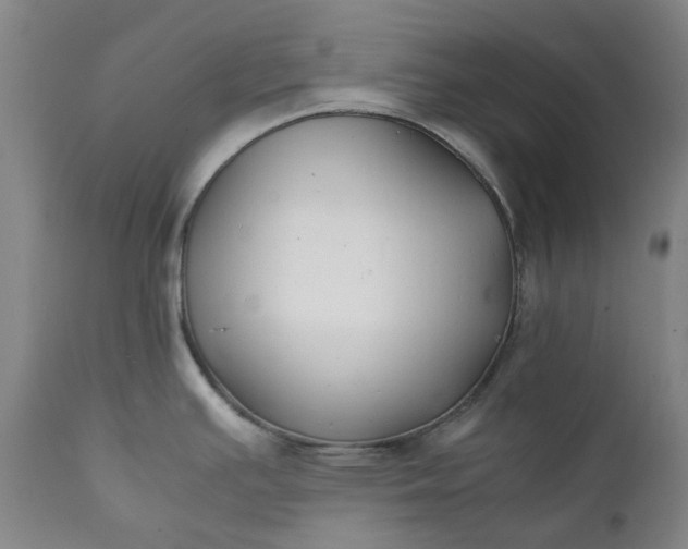 X0000111351391200907241148