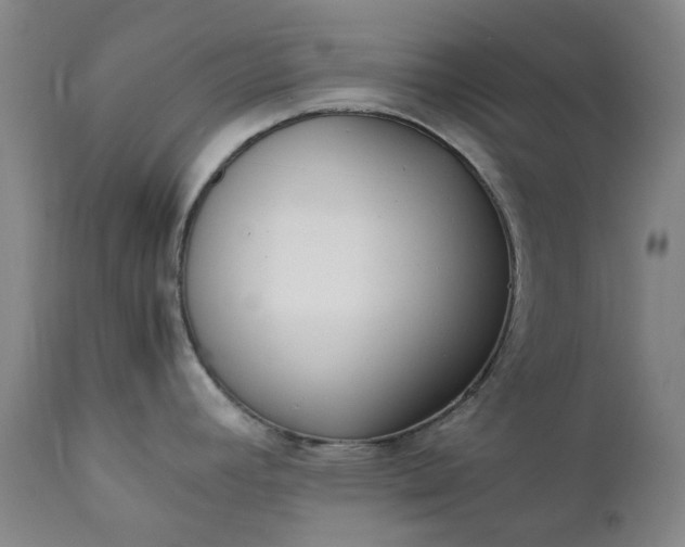 X0000111351392200907241148