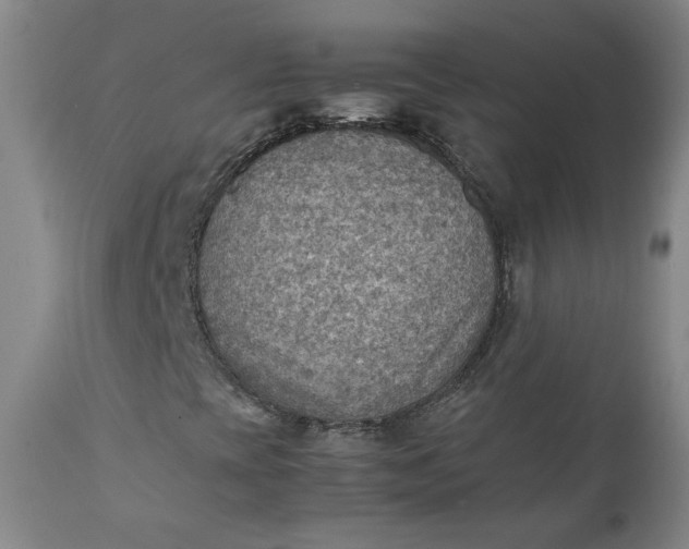 X0000111351393200907241147