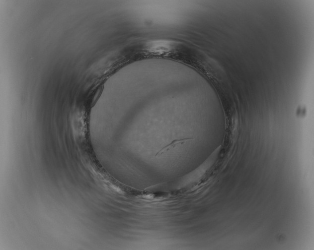 X0000111351394200907241147